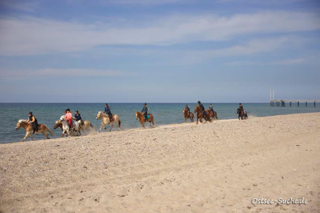Eine Gruppe Reiterinnen reitet am Ostseestrand in Weißenhäuser Strand