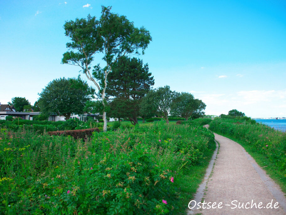Auf der Rückseite der Ferienhaussiedlung am Kraksdorfer Strand sieht man den Ostseeradweg und die Ostsee