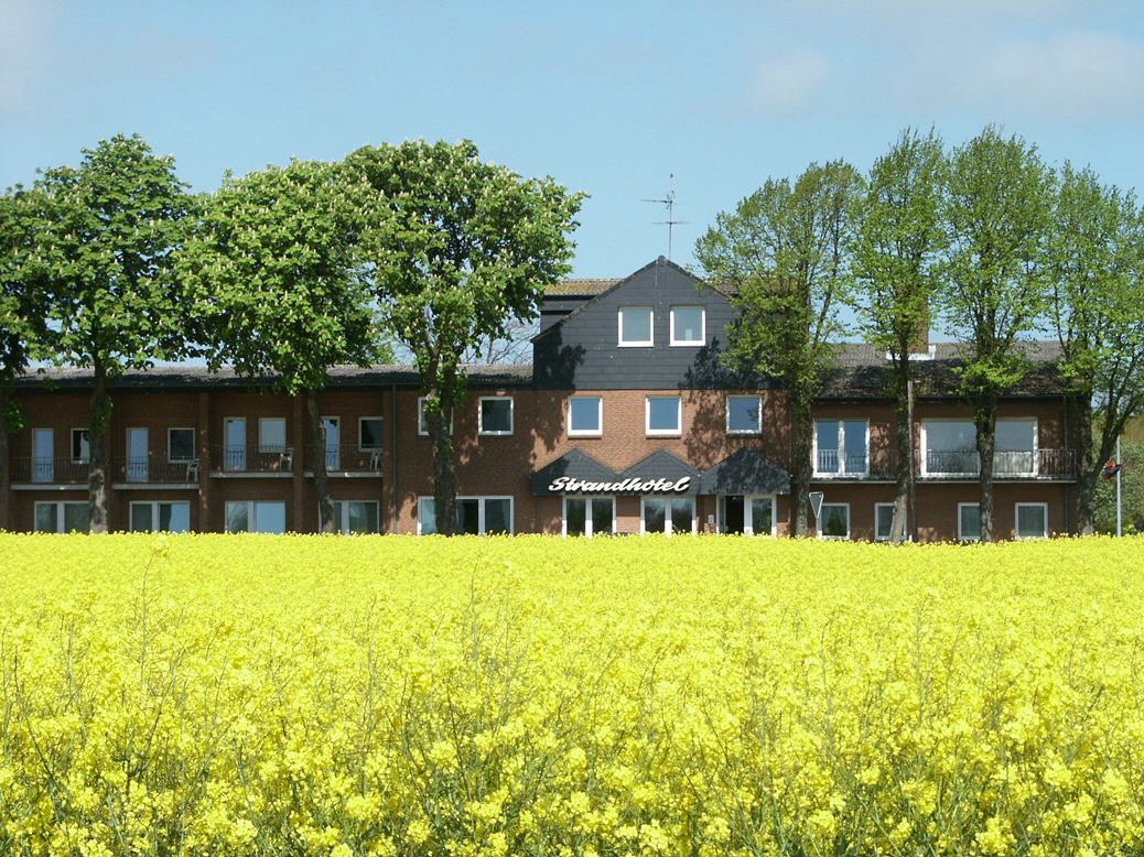 Gelbes Rapsfeld vor dem Strandhotel Fehmarn